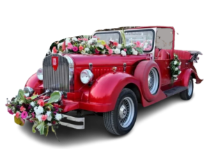 Wedding car Haldwani